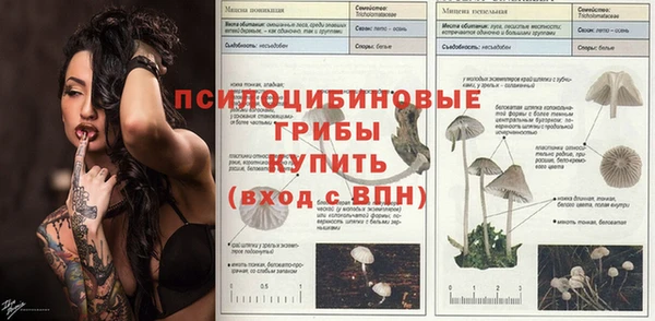 СК Верхний Тагил