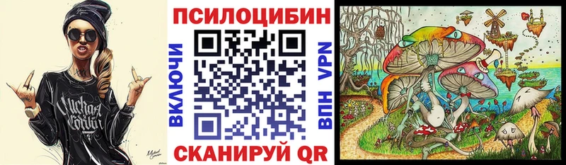 Купить закладки  Вилюйск  Псилоцибиновые грибы MAGIC MUSHROOMS 